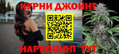 крисы Коммунар
